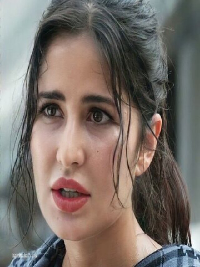 katrina-kaif-tiger-3-role