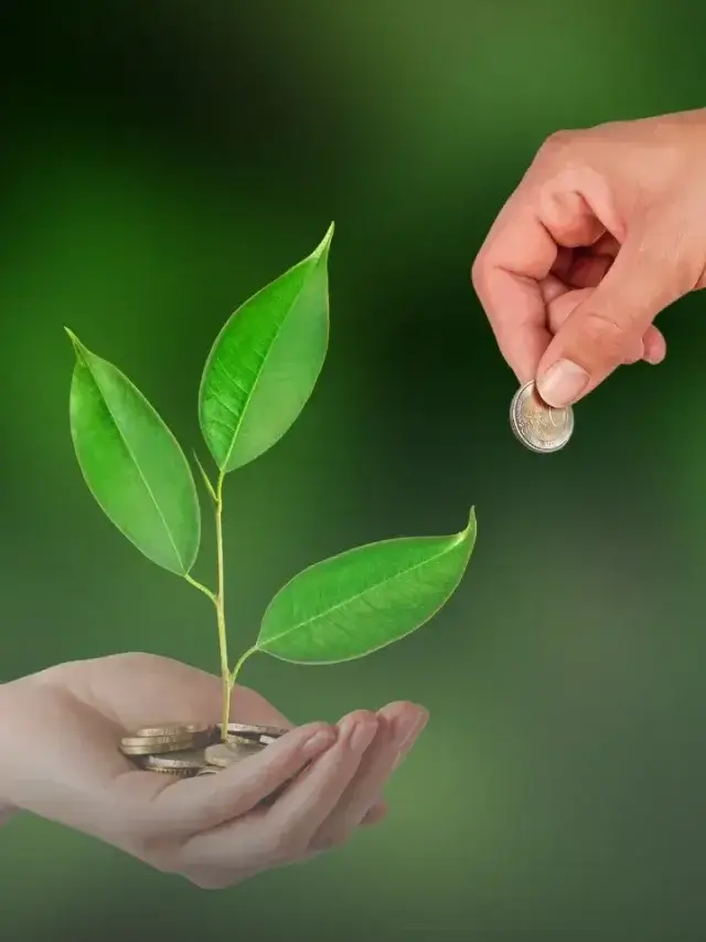 Money That Makes More Money,